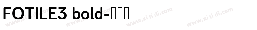 FOTILE3 bold字体转换